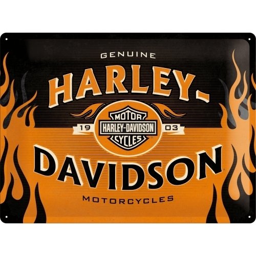 Harley Davidson 1903 Blechschild 30x40 cm