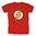 The Flash Distressed Logo Herren T-Shirt