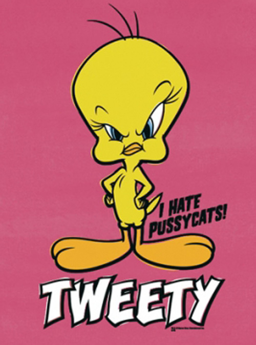 Looney Tunes Kinder T-Shirt Tweety I Hate Pussycats
